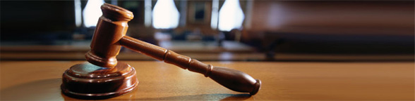 Legal and social issues